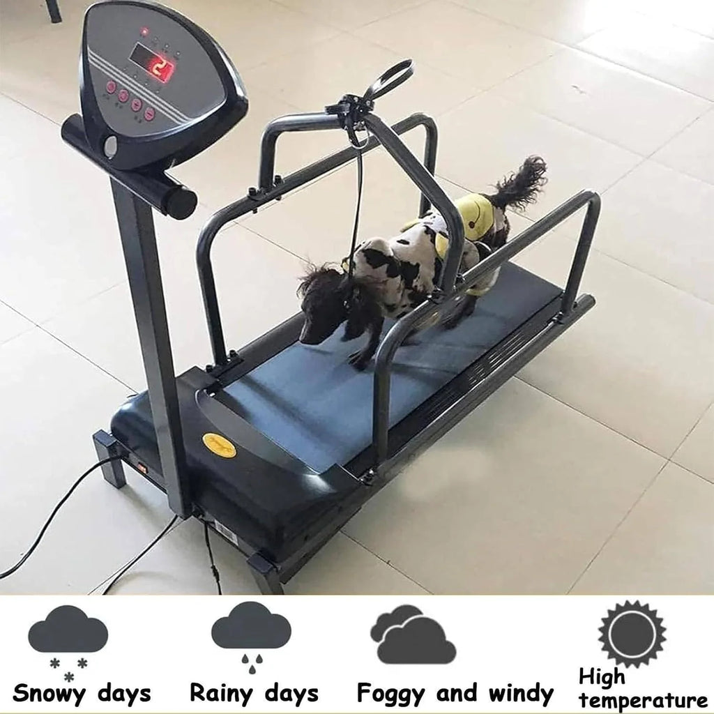 Bieżnia dla psa, wyświetlacz LCD, sprzęt do ćwiczeń zwierząt domowych, regulowana prędkość, maksymalne obciążenie 80 kg, odpowiednia dla małych i średnich psów