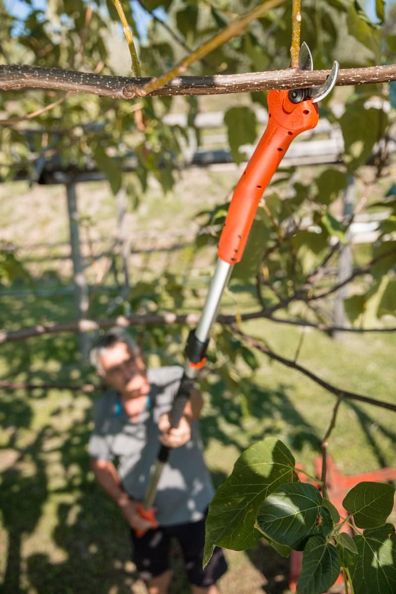 STOCKER - Nożyce Kantia E-22 TR z uchwytem teleskopowym